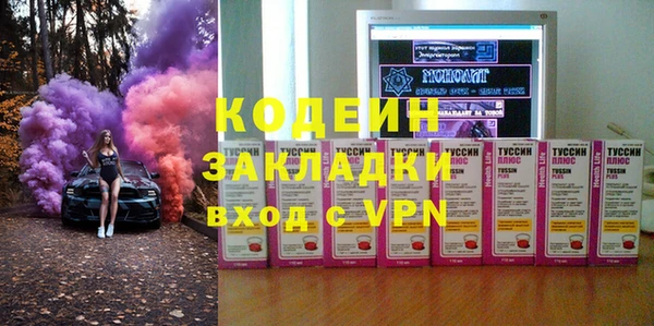 метадон Алексин