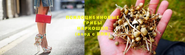 таблы Алексеевка