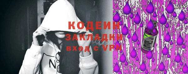 метадон Алексин