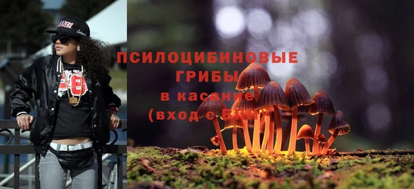 jwh Алзамай